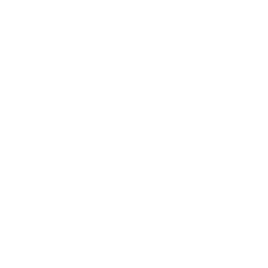 Programs and Events