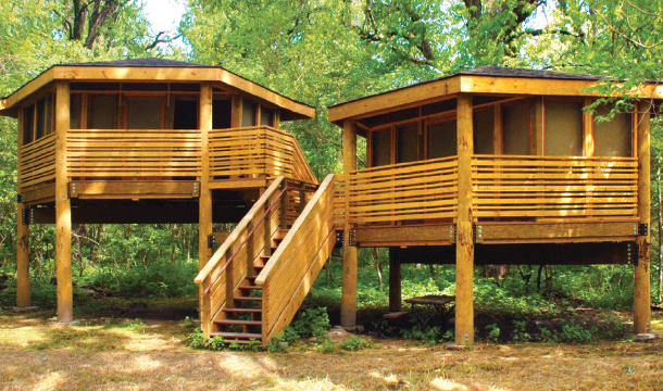 two tall wooden platform cabins with stairs in front inside a grove of shady trees