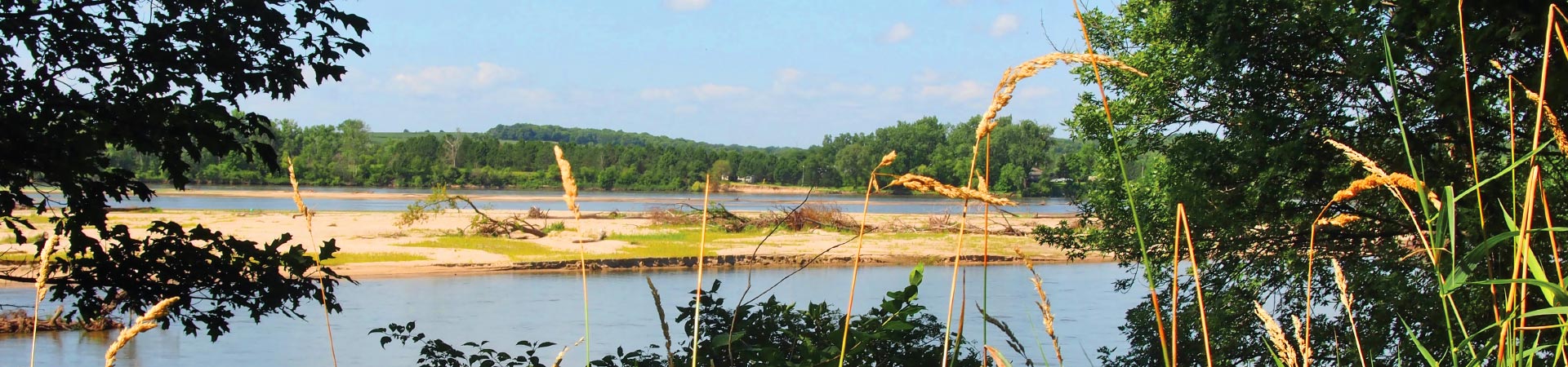  a scenic view of the Platte River looking south at a sand bar surrounded by green vegetation 